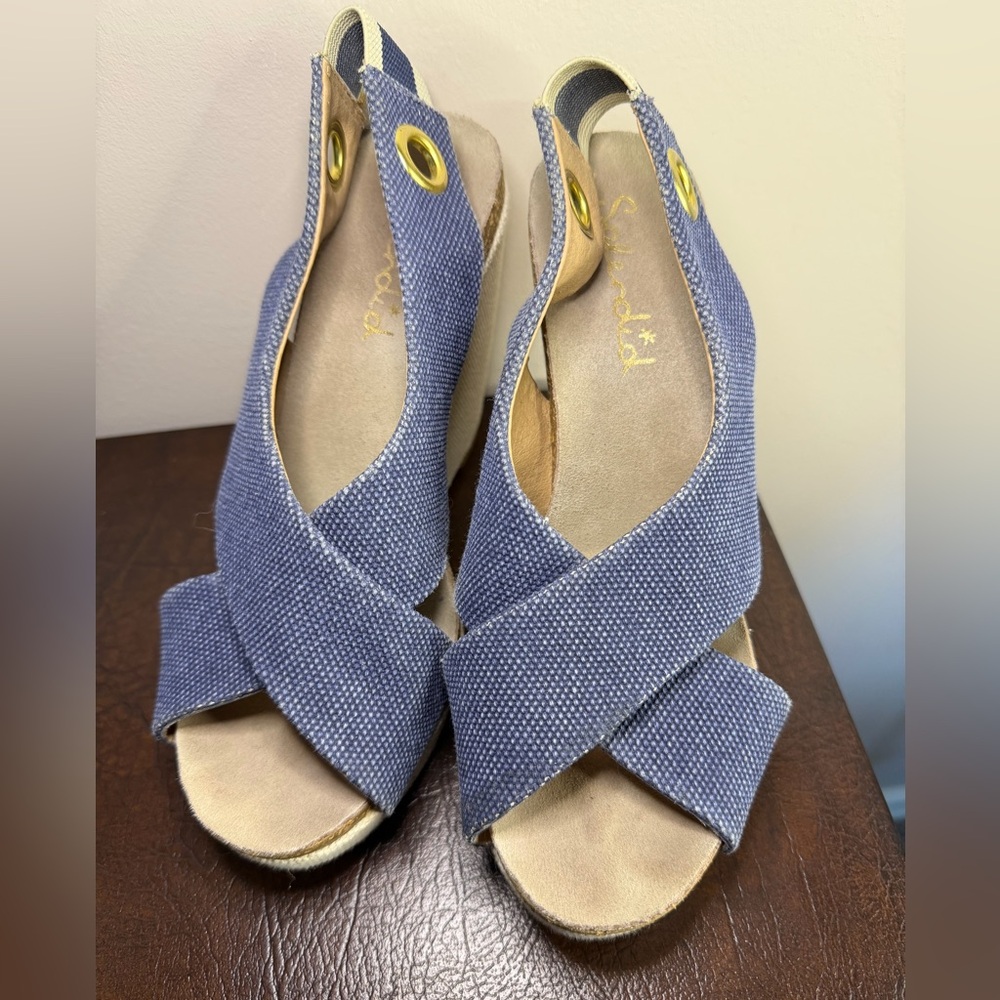 Splendid Blue and Tan Wedge Sandals